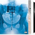 Lorde - Virgin - Black