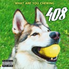 408 - What Are You Chewing (EP)
