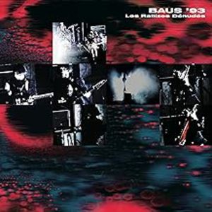 BAUS '93