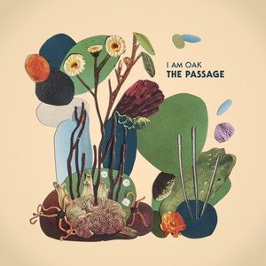 The Passage (CDS)