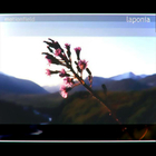 Motionfield - Laponia