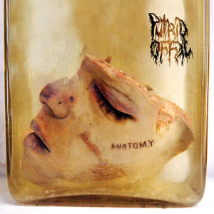 Anatomy (EP)