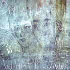 Jim White - Drill A Hole In That Substrate And Tell Me What You See (Deluxe 20Th Anniversary Edition)