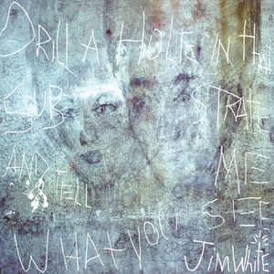 Drill A Hole In That Substrate And Tell Me What You See (Deluxe 20Th Anniversary Edition)
