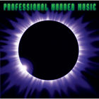 Professional Murder Music