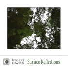 Surface Reflections