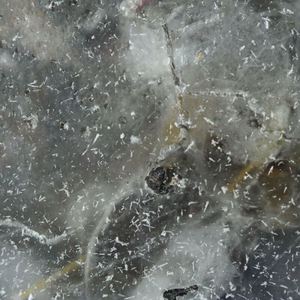 Fluctuation Of Being