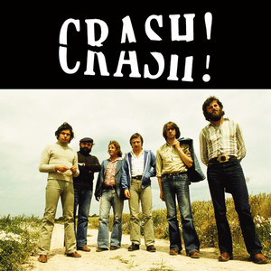 Crash (Vinyl)