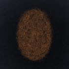 Eli Keszler - Last Signs Of Speed