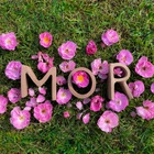 MOR (EP)
