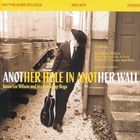 Another Hole In Another Wall