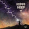 The Budos Band - VII