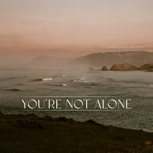 You're Not Alone (Feat. Punctual) (CDS)