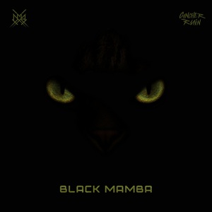 Black Mamba (Feat. Ruin) (CDS)