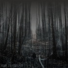 Forgotten Waltzes Of February Souls