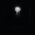 Hear, O Ruin, Our Echoes Against Your Silence, We Are The Orphans Of Your Unmaking