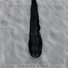 Fragile Wings