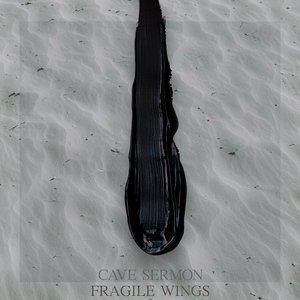 Fragile Wings