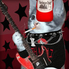 I Fucking Hate Fiona Gallagher