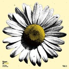 VA - Heart Of Gold: The Songs Of Neil Young Vol. 1