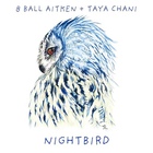 Nightbird (With Taya Chani)