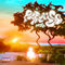 Mora - Paraiso