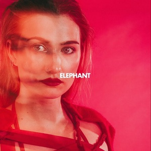 Elephant (CDS)