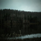 Vaarain Harmauden Ylitse (EP)