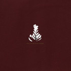 Who You Are Is Not Enough