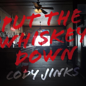 Put The Whiskey Down (CDS)