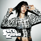 Soft Error (EP)