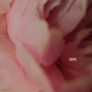 Survive (CDS)