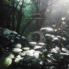 Let The Brightness In