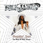 Rick James - Bustin' Out: The Best Of Rick James CD1