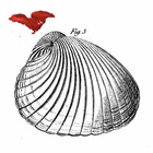 Koma West (With Sofia Jernberg)