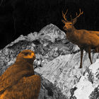 O, Triglav, Moj Dom (CDS)