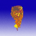 Avogadro's Number (CDS)