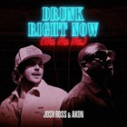 Drunk Right Now (Na Na Na) (With Akon) (CDS)