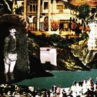 A New Kind Of Borkulator (CDS)