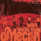 Autumn / Walking Around (VLS)