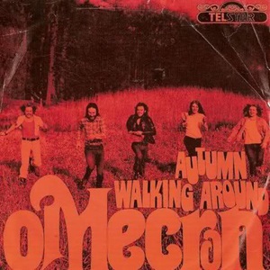 Autumn / Walking Around (VLS)