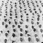 A Written Testimony: Mars, The Inhabited Planet (EP)