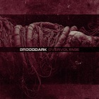 Brooddark - Overvoltage
