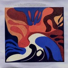 Into The Wind (Vinyl)