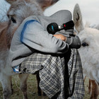 Doggy (With Love Spells & Truly Young) (CDS)