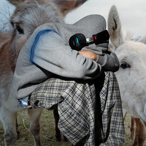 Doggy (With Love Spells & Truly Young) (CDS)