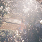 Hikareai (ひかれあい)