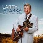 I Just Want To Thank You Lord