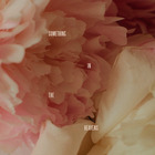 Something In The Heavens (CDS)