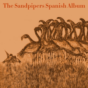 Second Spanish Album (Vinyl)